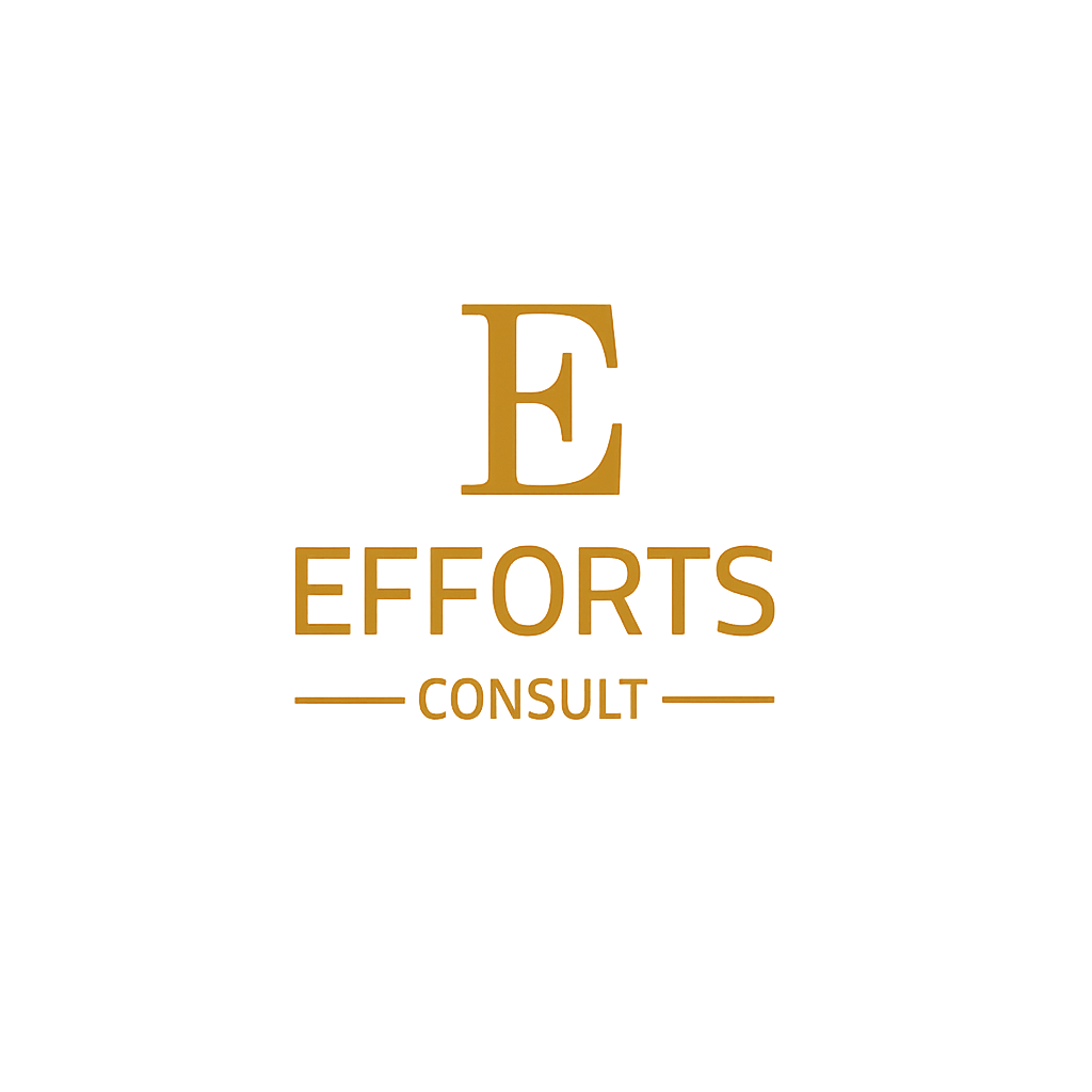 E-Efforts Consult company logo